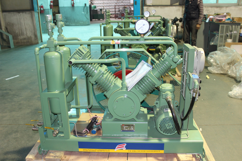 Laboratuvar i&ccedil;in emniyet pistonlu hidrojen pistonlu kompres&ouml;r (4)