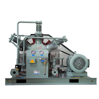 Kimyasal fabrika kullanımı yağsız azot kompresörü WW-100-6-30
